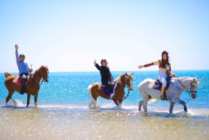 Sharm El Shiekh: Passeio a cavalo pela praia e pelo deserto