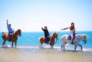 Sharm El Shiekh: Strand und Wüste Reiten Tour