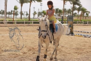 Sharm El Shiekh: Shharm Shirh: Beach and Desert Horse Riding Tour