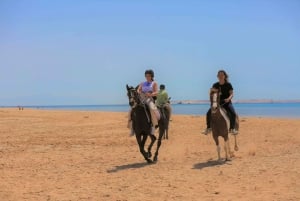 Sharm El Shiekh: Ridetur på stranden og i ørkenen