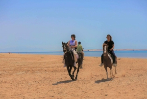 Sharm El Shiekh: Shharm Shirh: Beach and Desert Horse Riding Tour