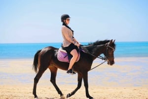 Sharm El Shiekh: Shharm Shirh: Beach and Desert Horse Riding Tour