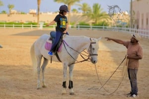 Sharm El Shiekh: Shharm Shirh: Beach and Desert Horse Riding Tour