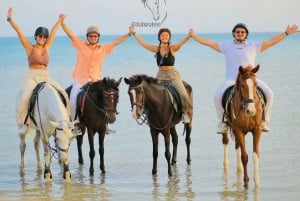 Sharm El Shiekh: Strand und Wüste Reiten Tour