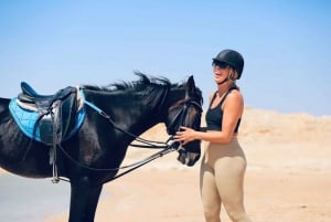 Sharm El Shiekh: Shharm Shirh: Beach and Desert Horse Riding Tour