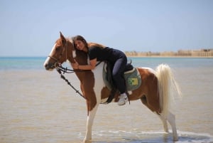 Sharm El Shiekh: Shharm Shirh: Beach and Desert Horse Riding Tour