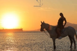 Sharm El Shiekh: Shharm Shirh: Beach and Desert Horse Riding Tour