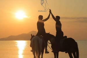 Sharm El Shiekh: Shharm Shirh: Beach and Desert Horse Riding Tour