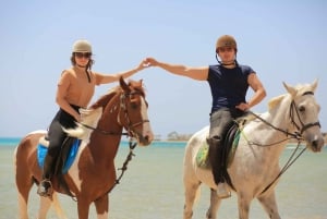 Sharm El Shiekh: Beach and Desert Horse Riding Tour