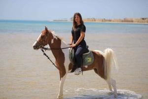 Sharm El Shiekh: Excursión a caballo por la playa y el desierto