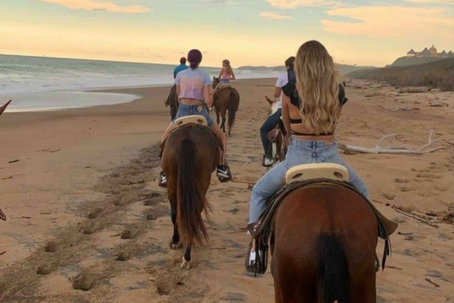 Sharm El shiekh Beach & Desert Horse Riding Tour