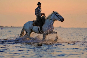 Sharm El shiekh Beach & Desert Horse Riding Tour