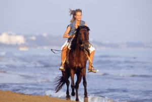 Sharm El shiekh Beach & Desert Horse Riding Tour