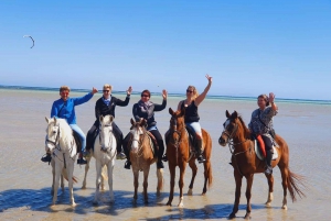 Sharm El Sheikh: Nabq Bay Park Beach Horse Riding Tour