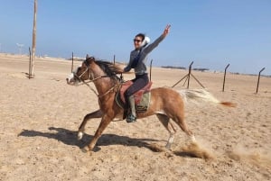 Sharm El Sheikh: Nabq Bay Park Beach Horse Riding Tour