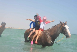 Sharm El Sheikh: Nabq Bay Park Beach Horse Riding Tour