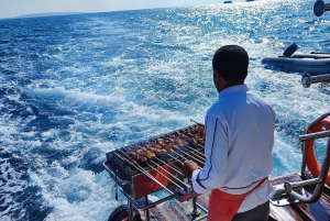 Sharm: Elite vip snorklingskryssning med bbq-buffé Lunch