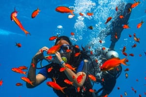 Sharm El-Sheij Excursión de snorkel a Ras Mohamed y la Isla Blanca