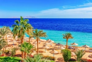 Sharm: Parasailing, Banana Boat & Tube Ride with Transfers
