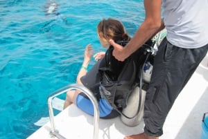 Sharm: Ras Mohamed Tauchen Bootsfahrt mit privaten Transfers