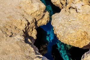 Sharm: Schnorcheln vom Ufer aus, Mangrovenbäume und Salzsee