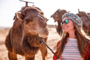 Sharm: Sunrise Quad Bike, Bedouin Breakfast & Camel Ride