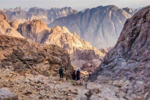 From Sharm: Mt. Sinai and St. Catherine Monastery Day Tour