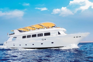 From Sharm: Ras Mohammed cruise with island visit & Lunch