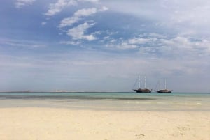 Sharm: Crucero de snorkel por la Isla Blanca y Ras Mohmmed