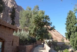 Privat utflukt til St. Catherine-klosteret fra Sharm el-Sheikh