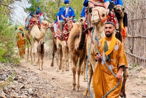 Поездка на верблюде по пустыне на закате, катание на сэндборде и ужин-барбекю