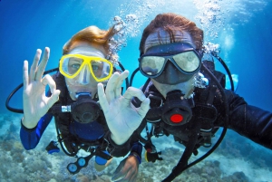 Île de Tiran : Excursion en bateau d'une journée pour faire de la plongée avec tuba et de la plongée sous-marine
