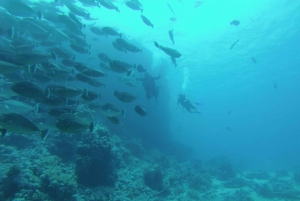 Tiran Island: Full-day Snorkeling, Diving Boat Trip