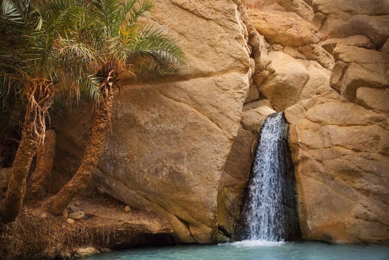 Tozeur: Tamerza, Chebika, and Mides Canyons Half-Day Trip