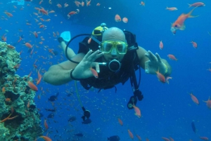 From Sharm: White Island and Ras Mohamed Snorkeling Trip
