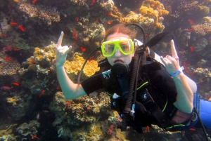 From Sharm: White Island and Ras Mohamed Snorkeling Trip
