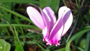 THINGS TO DO AND SEE FOR LESS SPORTIVE PEOPLE