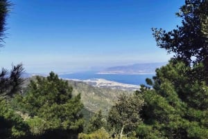 Messina: 360°-Städtetour mit Kap Peloro und Monte Dinnammare