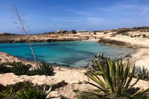 5 godzin Lampedusa: Rejs wycieczkowy z panino SUP i snorkelingiem