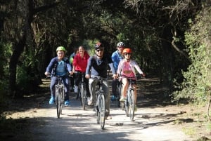 Location de vélos de ville à 6 vitesses à Palerme