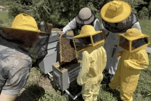 День среди пчел в Сортино