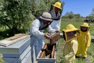 День среди пчел в Сортино