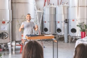 Una mañana con el Enólogo