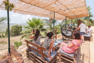 A Taste of Sicily: Wine, Picnic and Stunning Views Escape