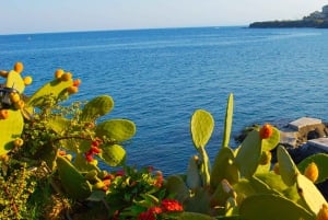 Sicilian Street Food & Volcanic Coastline Adventure