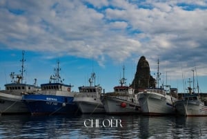 アーチ・トレッツァ：オデッセイ・ファラリオーニ・ボートツアー（水泳付き）