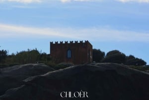 アーチ・トレッツァ：オデッセイ・ファラリオーニ・ボートツアー（水泳付き）