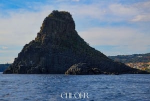 アーチ・トレッツァ：オデッセイ・ファラリオーニ・ボートツアー（水泳付き）