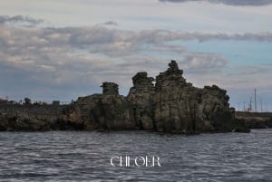 アーチ・トレッツァ：オデッセイ・ファラリオーニ・ボートツアー（水泳付き）