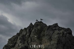 アーチ・トレッツァ：オデッセイ・ファラリオーニ・ボートツアー（水泳付き）